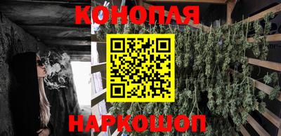 дурь Заводоуковск
